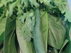 -南门四季铜锅涮肉(大屯·北苑店)