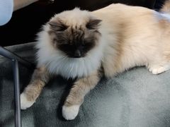 -零纪元VR体验馆·桌游(黄浦店)