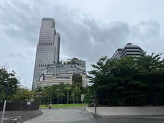 -星光大道
