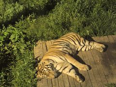 -大连森林动物园