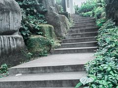 -广州兰圃