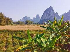 -明仕田园