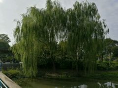 -尚贤河湿地