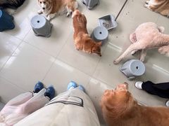 -汪说·狗咖(旺城大厦店)