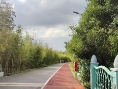 -上海长兴岛郊野公园