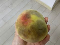 -老袁家蜜桃农场·阳山水蜜桃