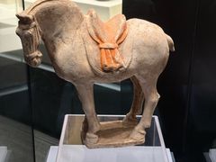 -隋唐大运河文化博物馆