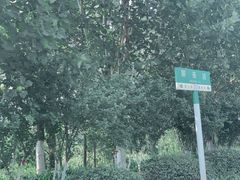 -淄博聊斋城景区
