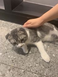 -In Beauty印诺时尚美发沙龙