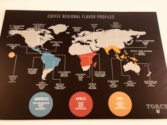 -Torch Coffee 炬点咖啡