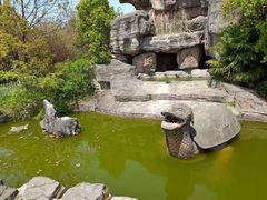 -东方大寿星园