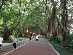 -南宁南湖公园