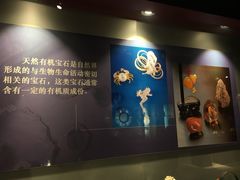-中国地质大学逸夫博物馆