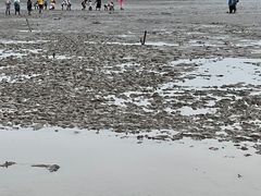 -花岙岛
