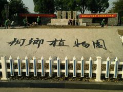 -桐乡植物园