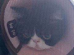 -瑞派福兴宠物医院犬猫全科·骨科·中西医结合(河东店)