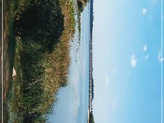 -丁香湖公园
