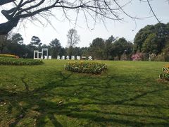 -保利石象湖景区