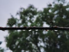 -鹦鹉寺公园