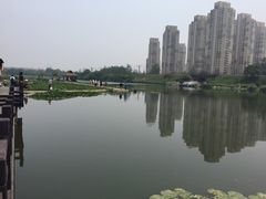 -前关湿地公园