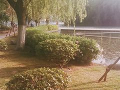 -天鹅湖体育公园