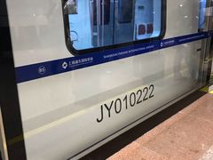 -龙阳路磁悬浮列车总站-停车场