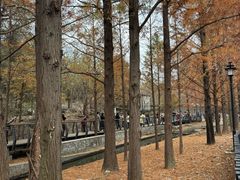 -白水寺森林公园