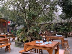 -青城甲(青城山店)