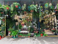 -溪岸路花鸟市场