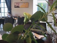 -IL Forno 意坊·意大利餐厅(花园店)