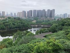 -重庆彩云湖湿地公园