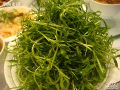 苦菊-贵州大厦贵州厅(樱花园西街店)