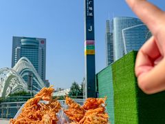 -在莲野·湖北民间菜·头牌松滋鸡(光谷步行街店)