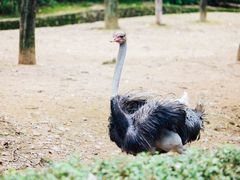 -杭州野生动物世界