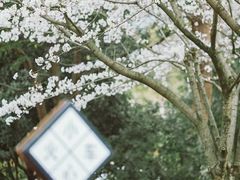 -白塔公园-儿童游乐园