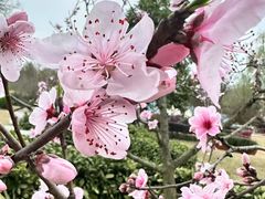 -云里小坐·海泉湾·团建·宴席·下午茶(金堂海泉湾店)