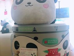 -熊猫邮局(少城店)
