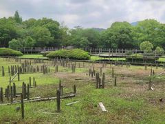 -河姆渡遗址博物馆