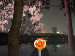 -南宁南湖公园
