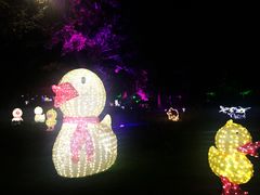 -秀丽东方