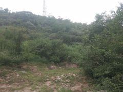 -白水寺森林公园