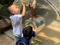 -哈尔滨波塞冬海底世界