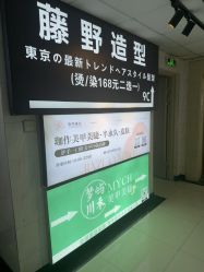 -藤野造型