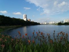 -南宁南湖公园