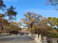 -北陵公园
