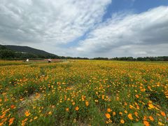 -长广溪湿地公园