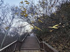 -云顶山风景区
