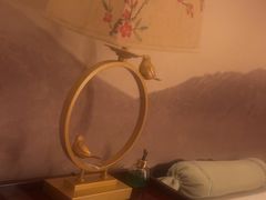 -金凤凰健康养生·足疗·推拿·SPA(横岗店)