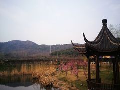 -石塘人家
