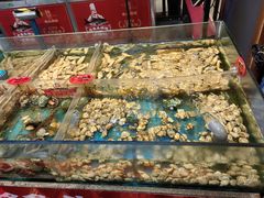 -魏铭鱼头捞饭(晋阳路店)